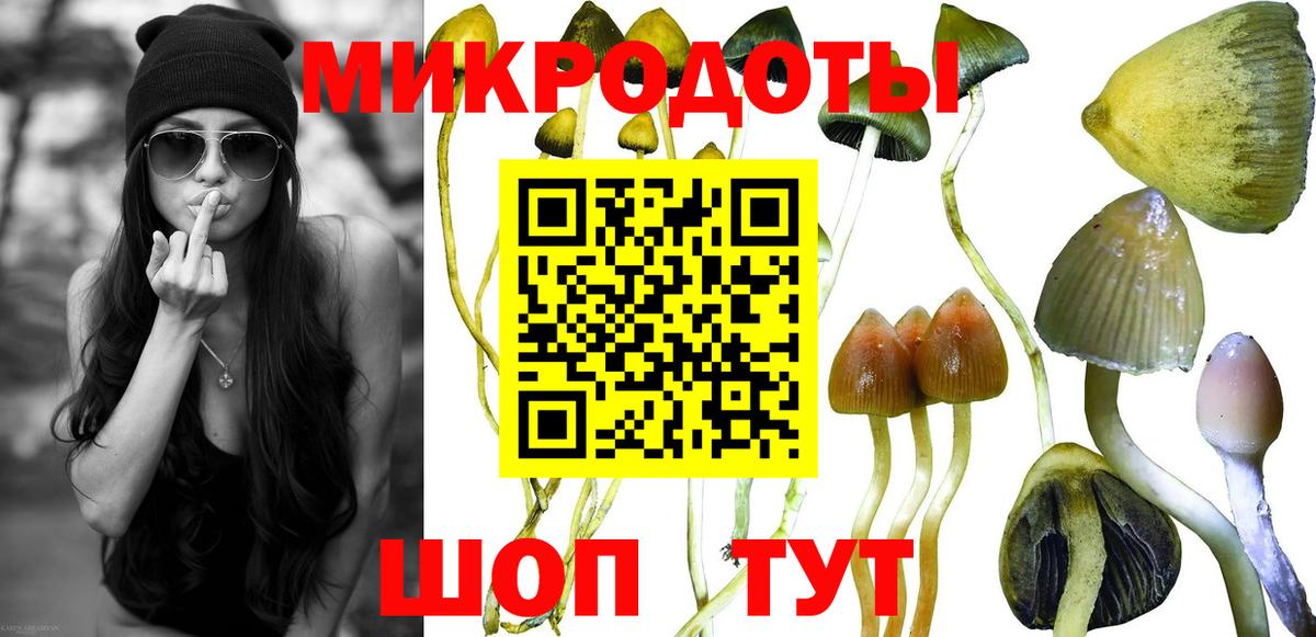 Галлюциногенные грибы ЛСД  Вход с VPN  наркота  Советск 