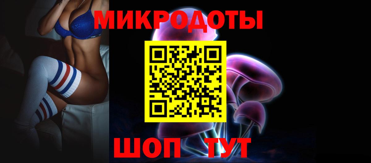 Псилоцибиновые грибы Psilocybe Советск